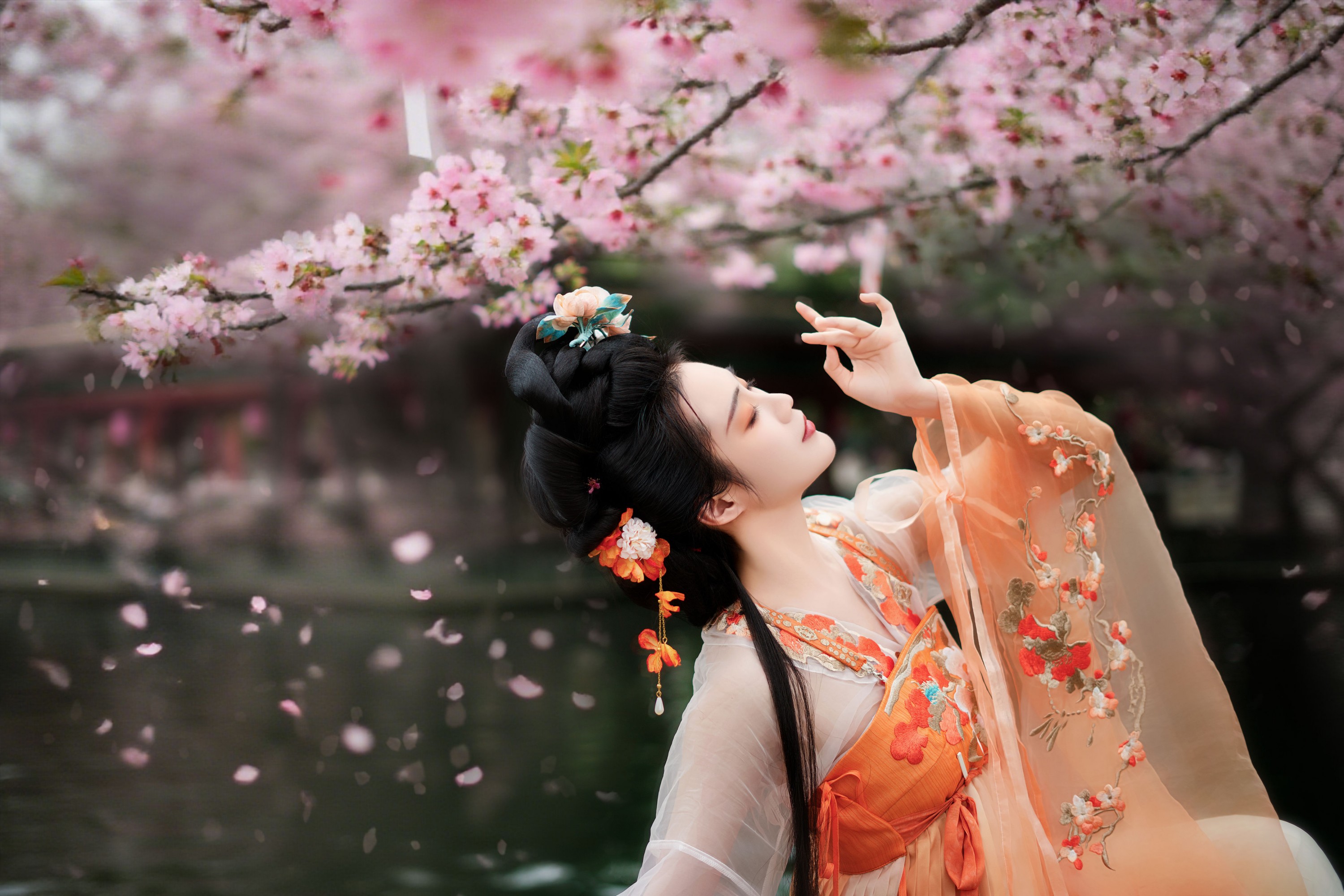 艳子 – 《樱花树下》[18P] 插图4